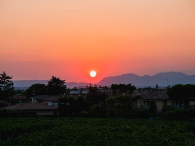 Domaine de la Lavande