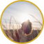 Témoignage client